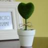 Small Green Plant w/ Ceramics Pot - HEART