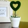 Small Green Plant w/ Ceramics Pot - HEART FRAME