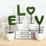Green plant LOVE SET with Ceramics Pot