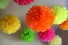 pompom01