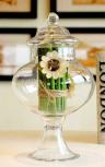 \"CAROLINE\" Glass Jar