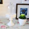 Lace CupCake Stand with Glass Cover
