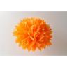 Pom pom Tangerine no:14